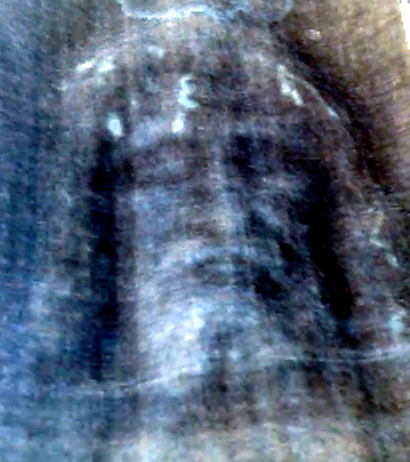 new scientific imaging technique for Man on Shroud